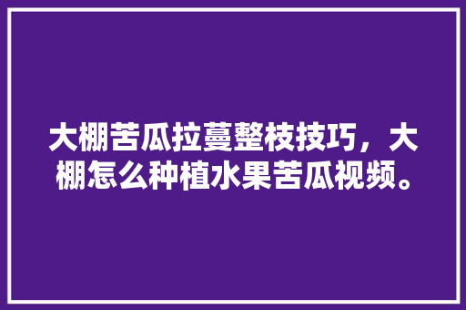 大棚苦瓜拉蔓整枝技巧，大棚怎么种植水果苦瓜视频。 大棚苦瓜拉蔓整枝技巧，大棚怎么种植水果苦瓜视频。 水果种植