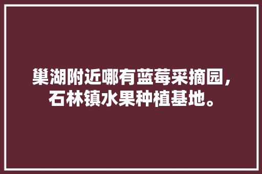 巢湖附近哪有蓝莓采摘园，石林镇水果种植基地。 巢湖附近哪有蓝莓采摘园，石林镇水果种植基地。 家禽养殖