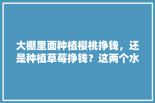 大棚里面种植樱桃挣钱，还是种植草莓挣钱？这两个水果哪个效益高，草莓种植图片水果大全大图。 大棚里面种植樱桃挣钱，还是种植草莓挣钱？这两个水果哪个效益高，草莓种植图片水果大全大图。 蔬菜种植