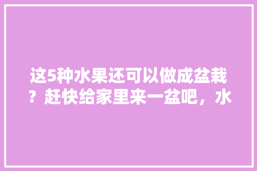 这5种水果还可以做成盆栽？赶快给家里来一盆吧，水果怎么种植盆栽图片大全。 这5种水果还可以做成盆栽？赶快给家里来一盆吧，水果怎么种植盆栽图片大全。 家禽养殖