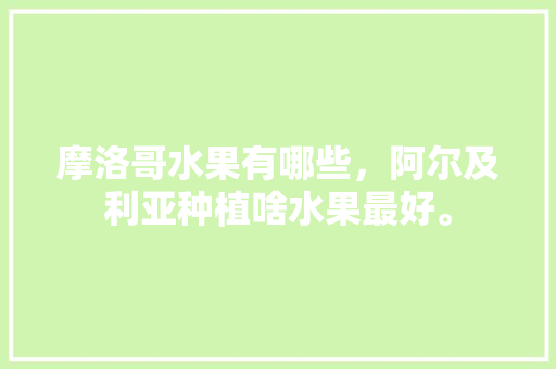 摩洛哥水果有哪些，阿尔及利亚种植啥水果最好。 摩洛哥水果有哪些，阿尔及利亚种植啥水果最好。 水果种植