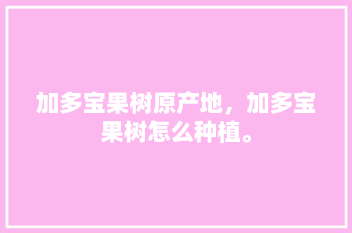 加多宝果树原产地，加多宝果树怎么种植。 加多宝果树原产地，加多宝果树怎么种植。 水果种植