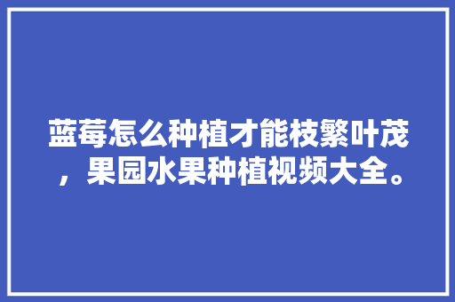 蓝莓怎么种植才能枝繁叶茂，果园水果种植视频大全。 蓝莓怎么种植才能枝繁叶茂，果园水果种植视频大全。 水果种植