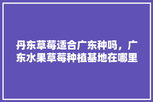 丹东草莓适合广东种吗，广东水果草莓种植基地在哪里。 丹东草莓适合广东种吗，广东水果草莓种植基地在哪里。 水果种植