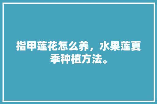 指甲莲花怎么养，水果莲夏季种植方法。 指甲莲花怎么养，水果莲夏季种植方法。 水果种植