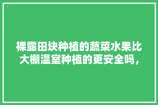 裸露田块种植的蔬菜水果比大棚温室种植的更安全吗，一木花卉养花教程。 裸露田块种植的蔬菜水果比大棚温室种植的更安全吗，一木花卉养花教程。 蔬菜种植