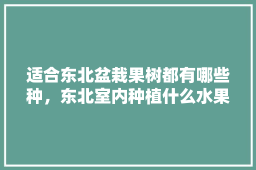 适合东北盆栽果树都有哪些种，东北室内种植什么水果最好。 适合东北盆栽果树都有哪些种，东北室内种植什么水果最好。 水果种植