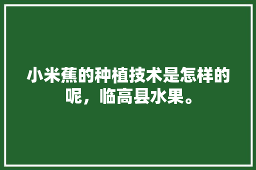 小米蕉的种植技术是怎样的呢，临高县水果。 小米蕉的种植技术是怎样的呢，临高县水果。 水果种植