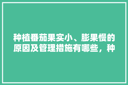 种植番茄果实小、膨果慢的原因及管理措施有哪些，种植水果周期短的原因。 种植番茄果实小、膨果慢的原因及管理措施有哪些，种植水果周期短的原因。 蔬菜种植