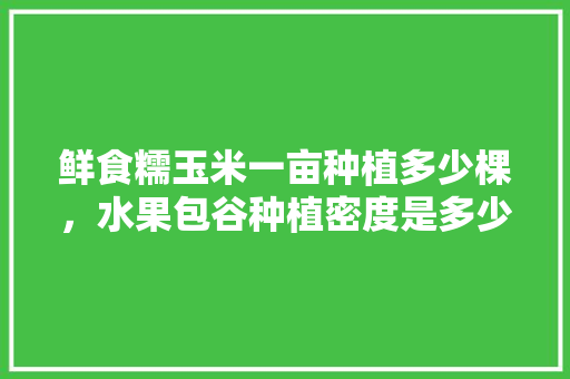 鲜食糯玉米一亩种植多少棵，水果包谷种植密度是多少。 鲜食糯玉米一亩种植多少棵，水果包谷种植密度是多少。 蔬菜种植