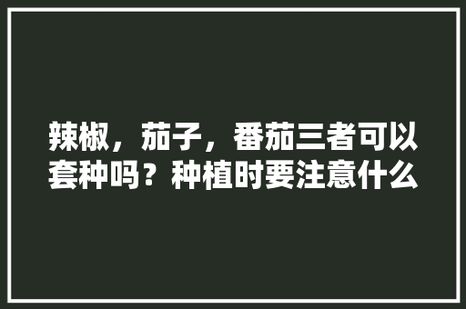 辣椒，茄子，番茄三者可以套种吗？种植时要注意什么问题，梦见辣椒大棚种植水果什么意思。 辣椒，茄子，番茄三者可以套种吗？种植时要注意什么问题，梦见辣椒大棚种植水果什么意思。 水果种植