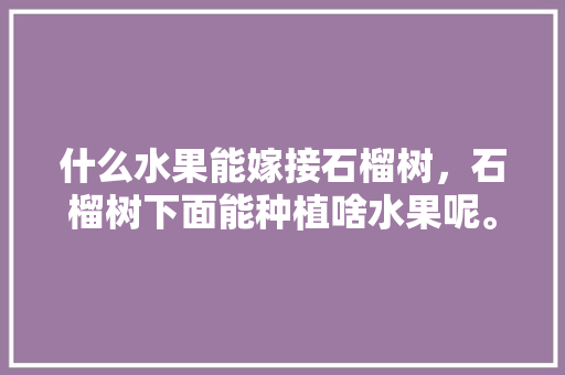 什么水果能嫁接石榴树，石榴树下面能种植啥水果呢。 什么水果能嫁接石榴树，石榴树下面能种植啥水果呢。 蔬菜种植