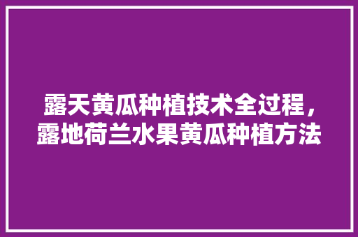 露天黄瓜种植技术全过程，露地荷兰水果黄瓜种植方法。 露天黄瓜种植技术全过程，露地荷兰水果黄瓜种植方法。 家禽养殖