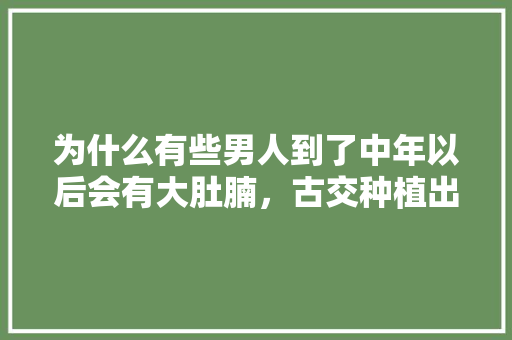 为什么有些男人到了中年以后会有大肚腩，古交种植出优质水果了吗。 为什么有些男人到了中年以后会有大肚腩，古交种植出优质水果了吗。 土壤施肥