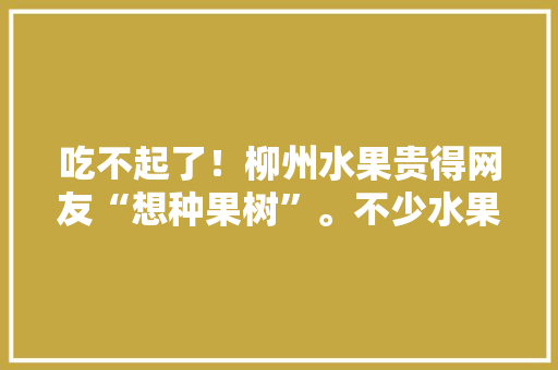 吃不起了！柳州水果贵得网友“想种果树”。不少水果售价比去年同期翻倍, 你怎么看，柳州水果种植风险评估。 吃不起了！柳州水果贵得网友“想种果树”。不少水果售价比去年同期翻倍, 你怎么看，柳州水果种植风险评估。 土壤施肥