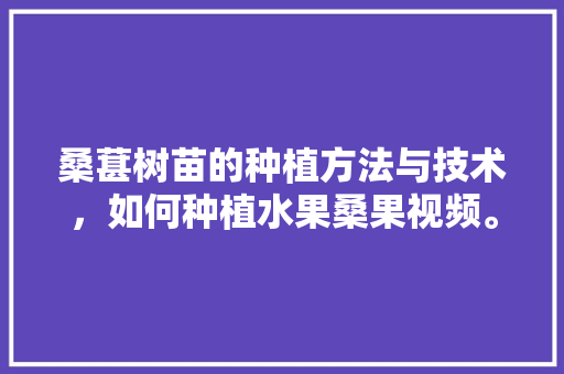 桑葚树苗的种植方法与技术，如何种植水果桑果视频。 桑葚树苗的种植方法与技术，如何种植水果桑果视频。 水果种植