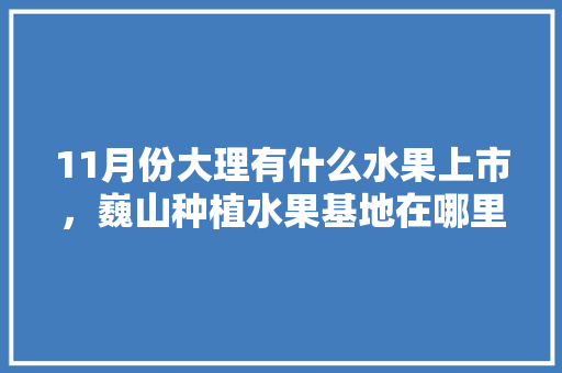 11月份大理有什么水果上市，巍山种植水果基地在哪里。 11月份大理有什么水果上市，巍山种植水果基地在哪里。 水果种植