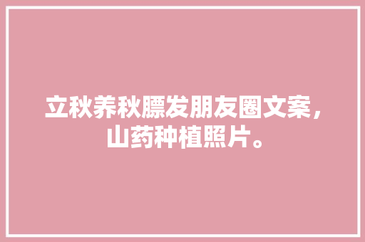 立秋养秋膘发朋友圈文案，山药种植照片。 立秋养秋膘发朋友圈文案，山药种植照片。 家禽养殖