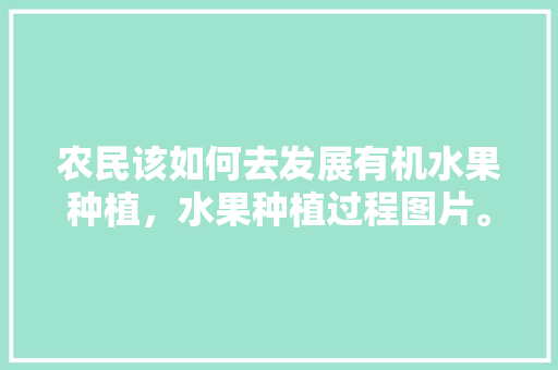 农民该如何去发展有机水果种植，水果种植过程图片。 农民该如何去发展有机水果种植，水果种植过程图片。 家禽养殖