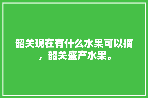 韶关现在有什么水果可以摘，韶关盛产水果。 韶关现在有什么水果可以摘，韶关盛产水果。 畜牧养殖