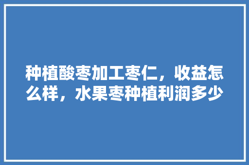 种植酸枣加工枣仁，收益怎么样，水果枣种植利润多少。 种植酸枣加工枣仁，收益怎么样，水果枣种植利润多少。 水果种植