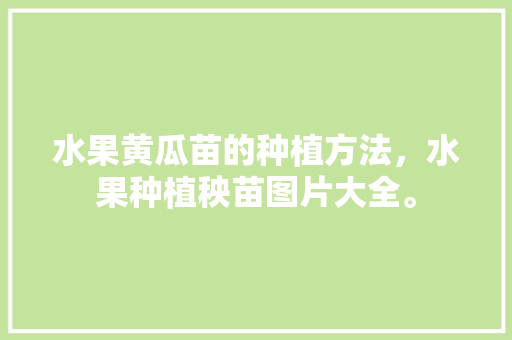 水果黄瓜苗的种植方法，水果种植秧苗图片大全。 水果黄瓜苗的种植方法，水果种植秧苗图片大全。 蔬菜种植