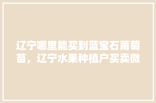 辽宁哪里能买到蓝宝石莆萄苗，辽宁水果种植户买卖微信群。 辽宁哪里能买到蓝宝石莆萄苗，辽宁水果种植户买卖微信群。 土壤施肥