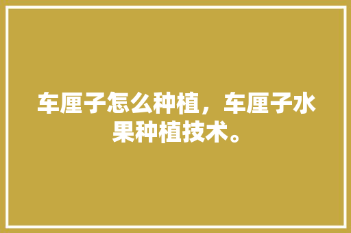 车厘子怎么种植，车厘子水果种植技术。 车厘子怎么种植，车厘子水果种植技术。 蔬菜种植