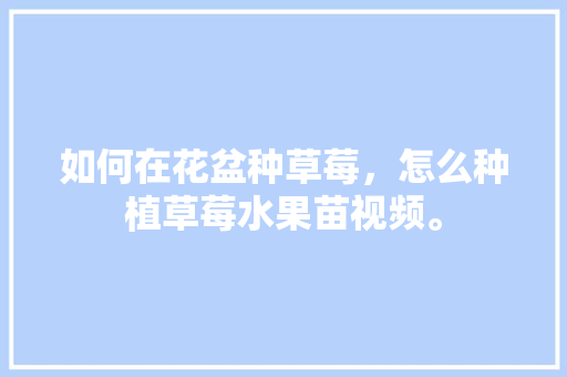 如何在花盆种草莓，怎么种植草莓水果苗视频。 如何在花盆种草莓，怎么种植草莓水果苗视频。 蔬菜种植