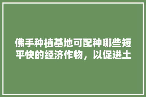 佛手种植基地可配种哪些短平快的经济作物，以促进土地综合利用，种植佛手水果图片。 佛手种植基地可配种哪些短平快的经济作物，以促进土地综合利用，种植佛手水果图片。 畜牧养殖