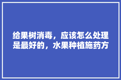 给果树消毒，应该怎么处理是最好的，水果种植施药方法有哪些。 给果树消毒，应该怎么处理是最好的，水果种植施药方法有哪些。 水果种植