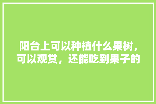 阳台上可以种植什么果树，可以观赏，还能吃到果子的，阳台种植水果能吃吗有毒吗。 阳台上可以种植什么果树，可以观赏，还能吃到果子的，阳台种植水果能吃吗有毒吗。 畜牧养殖