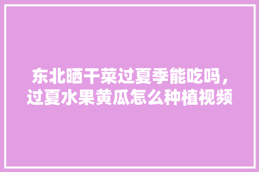 东北晒干菜过夏季能吃吗，过夏水果黄瓜怎么种植视频。 东北晒干菜过夏季能吃吗，过夏水果黄瓜怎么种植视频。 土壤施肥