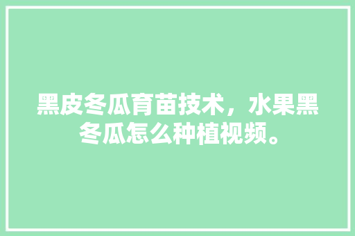 黑皮冬瓜育苗技术，水果黑冬瓜怎么种植视频。 黑皮冬瓜育苗技术，水果黑冬瓜怎么种植视频。 蔬菜种植