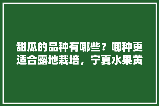 甜瓜的品种有哪些？哪种更适合露地栽培，宁夏水果黄瓜推荐种植地区。 甜瓜的品种有哪些？哪种更适合露地栽培，宁夏水果黄瓜推荐种植地区。 家禽养殖