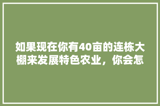 如果现在你有40亩的连栋大棚来发展特色农业，你会怎么做，水果种植多少亩有补贴。 如果现在你有40亩的连栋大棚来发展特色农业，你会怎么做，水果种植多少亩有补贴。 家禽养殖