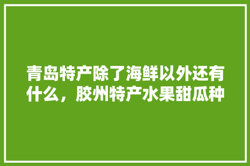 青岛特产除了海鲜以外还有什么，胶州特产水果甜瓜种植基地。 青岛特产除了海鲜以外还有什么，胶州特产水果甜瓜种植基地。 水果种植