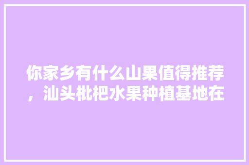 你家乡有什么山果值得推荐，汕头枇杷水果种植基地在哪里。 你家乡有什么山果值得推荐，汕头枇杷水果种植基地在哪里。 蔬菜种植