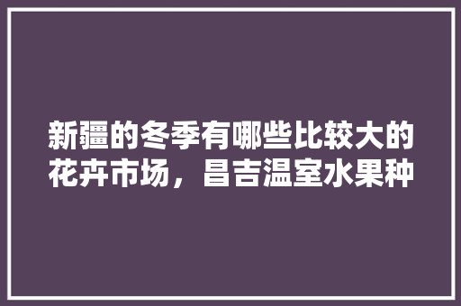 新疆的冬季有哪些比较大的花卉市场，昌吉温室水果种植基地在哪里。 新疆的冬季有哪些比较大的花卉市场，昌吉温室水果种植基地在哪里。 水果种植