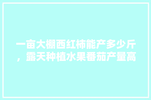 一亩大棚西红柿能产多少斤，露天种植水果番茄产量高吗。 一亩大棚西红柿能产多少斤，露天种植水果番茄产量高吗。 蔬菜种植