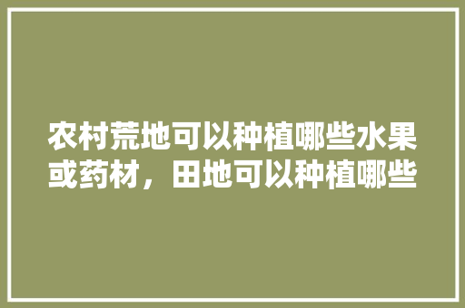 农村荒地可以种植哪些水果或药材，田地可以种植哪些水果蔬菜。 农村荒地可以种植哪些水果或药材，田地可以种植哪些水果蔬菜。 蔬菜种植