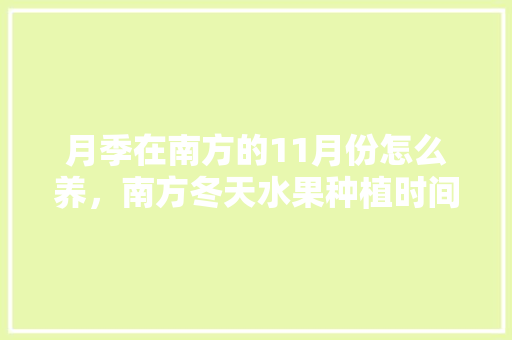 月季在南方的11月份怎么养，南方冬天水果种植时间。 月季在南方的11月份怎么养，南方冬天水果种植时间。 家禽养殖