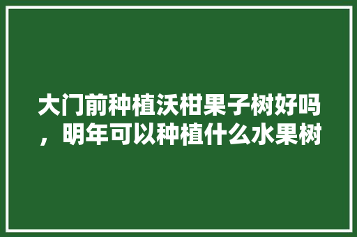 大门前种植沃柑果子树好吗，明年可以种植什么水果树呢。 大门前种植沃柑果子树好吗，明年可以种植什么水果树呢。 土壤施肥