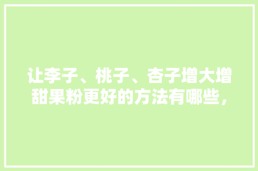 让李子、桃子、杏子增大增甜果粉更好的方法有哪些，最甜水果种植技术有哪些。 让李子、桃子、杏子增大增甜果粉更好的方法有哪些，最甜水果种植技术有哪些。 土壤施肥