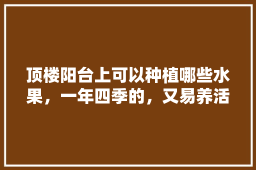 顶楼阳台上可以种植哪些水果，一年四季的，又易养活的，家里种植哪种水果最好呢。 顶楼阳台上可以种植哪些水果，一年四季的，又易养活的，家里种植哪种水果最好呢。 蔬菜种植