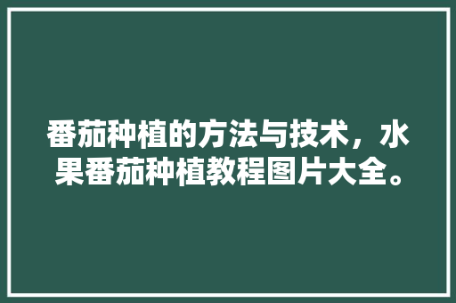 番茄种植的方法与技术，水果番茄种植教程图片大全。 番茄种植的方法与技术，水果番茄种植教程图片大全。 家禽养殖