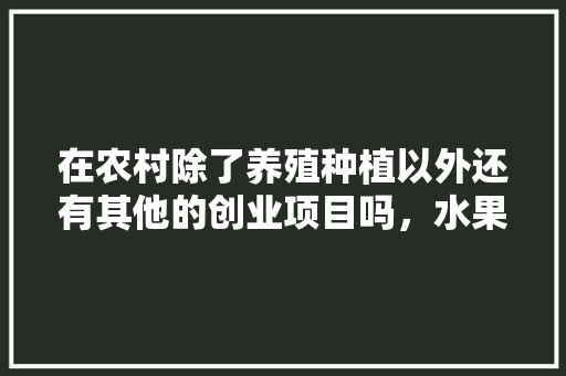 在农村除了养殖种植以外还有其他的创业项目吗，水果种植技术顾问工作内容。 在农村除了养殖种植以外还有其他的创业项目吗，水果种植技术顾问工作内容。 土壤施肥