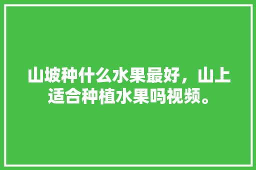 山坡种什么水果最好，山上适合种植水果吗视频。 山坡种什么水果最好，山上适合种植水果吗视频。 土壤施肥