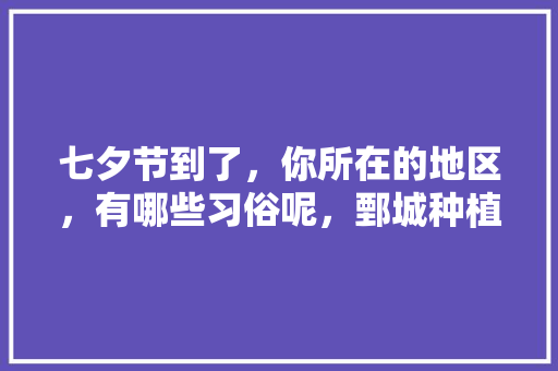 七夕节到了，你所在的地区，有哪些习俗呢，鄄城种植什么水果最多。 七夕节到了，你所在的地区，有哪些习俗呢，鄄城种植什么水果最多。 畜牧养殖