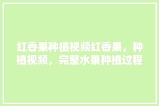 红香果种植视频红香果，种植视频，完整水果种植过程视频播放。 红香果种植视频红香果，种植视频，完整水果种植过程视频播放。 土壤施肥